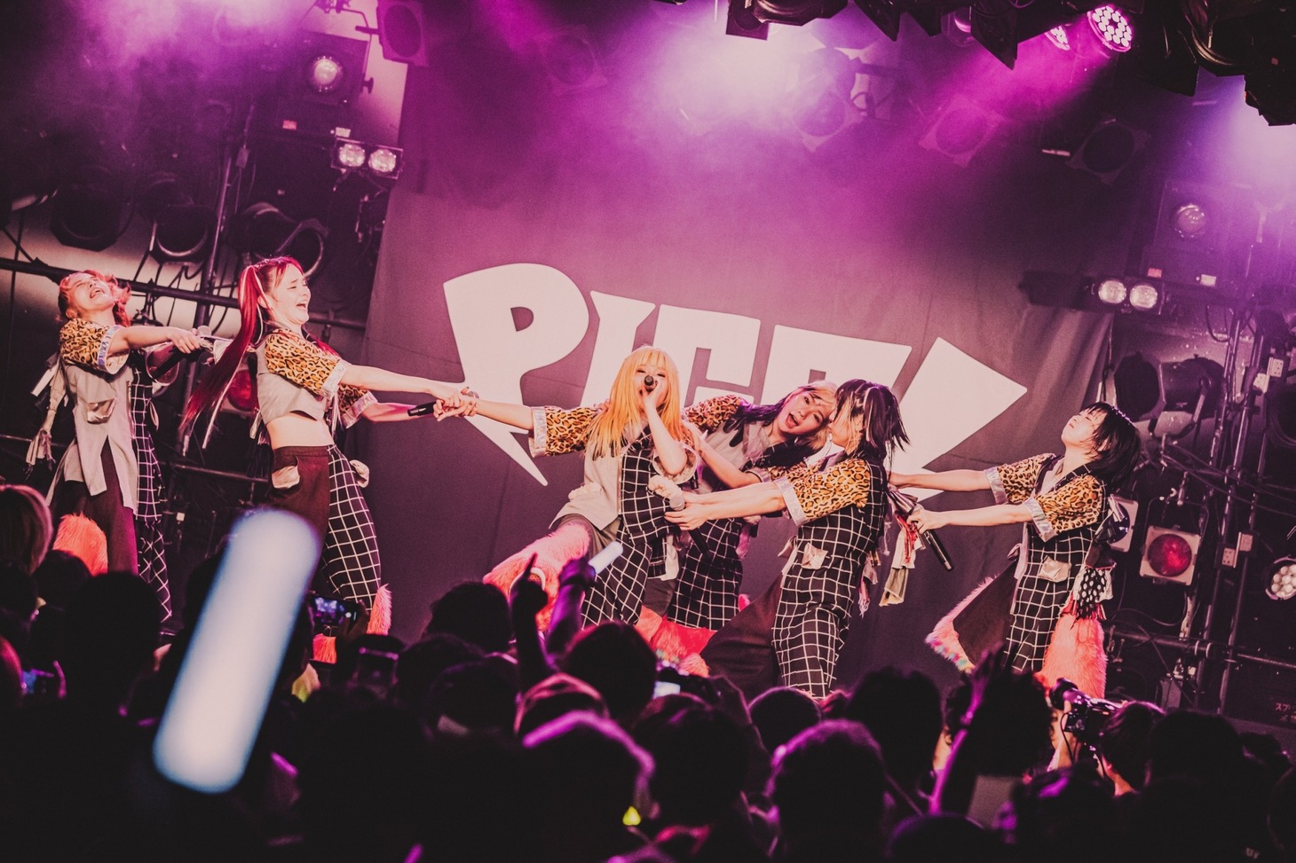 PIGGS（Photo by son_tkhs）