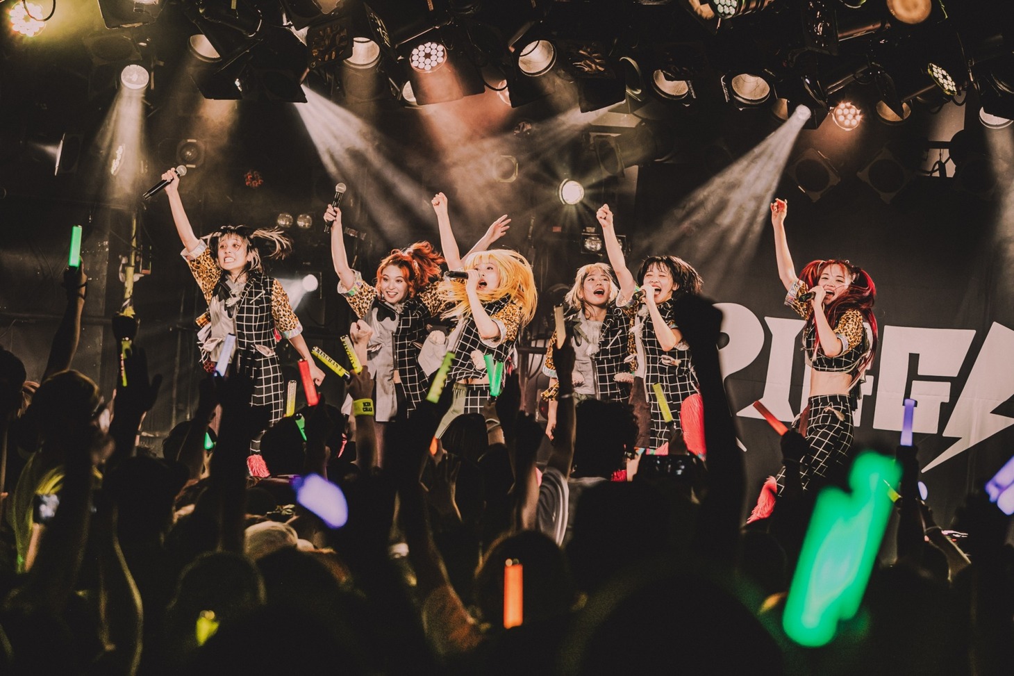 PIGGS（Photo by son_tkhs）