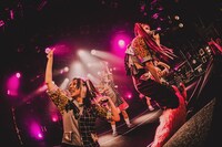 PIGGS（Photo by son_tkhs）