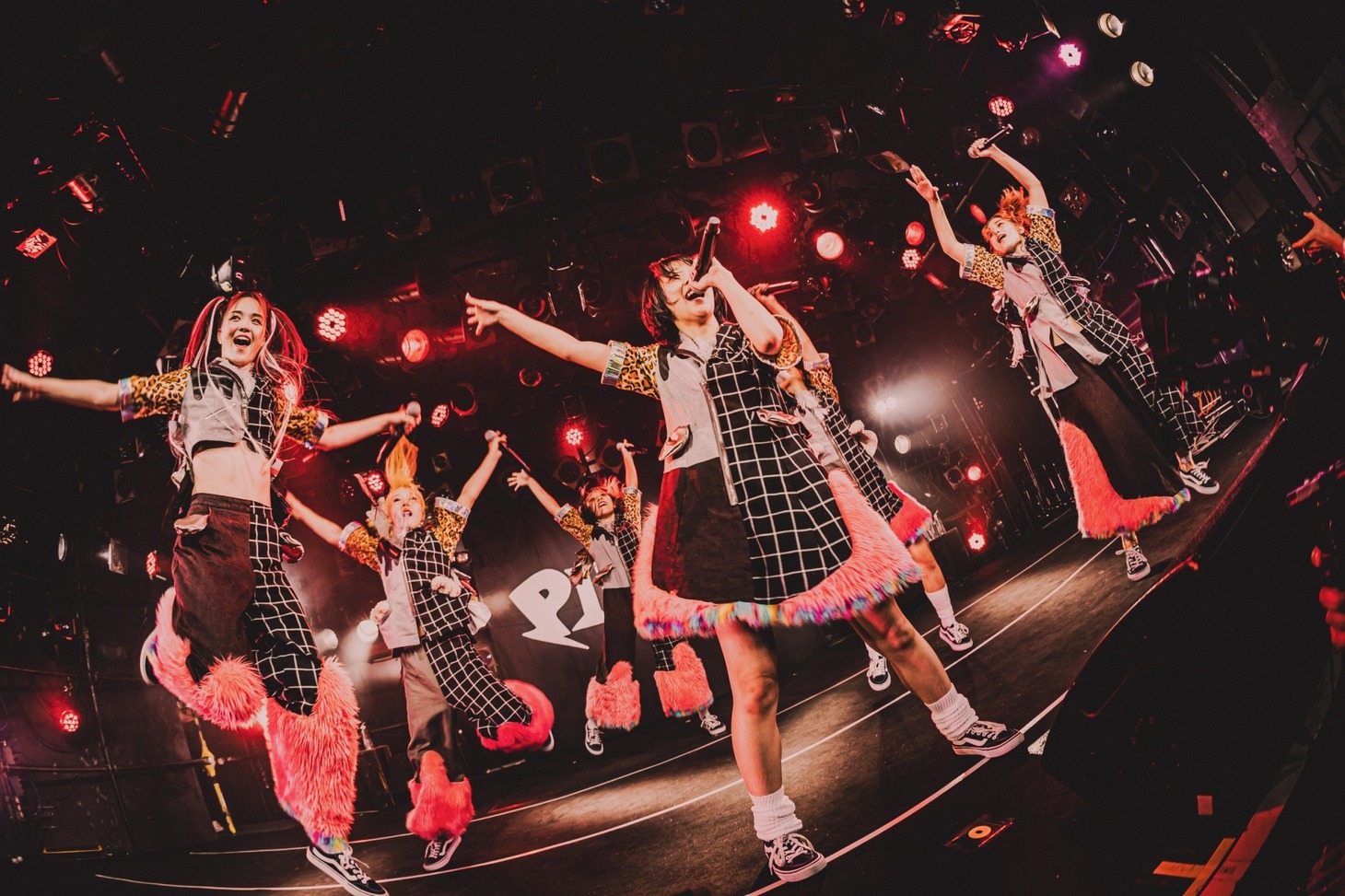 PIGGS（Photo by son_tkhs）