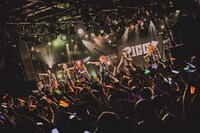 PIGGS（Photo by son_tkhs）