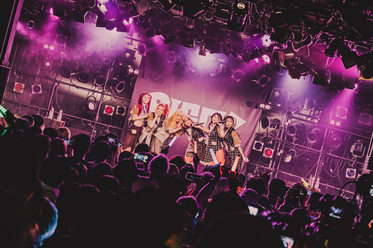 PIGGS（Photo by son_tkhs）