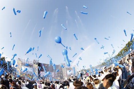 ジェット風船が舞うコニファーフォレスト。