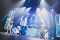 Anelaのパフォーマンスの様子。（撮影：白石達也）