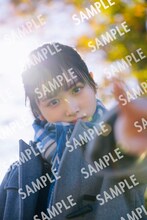 上村ひなの（日向坂46）写真集「そのままで」タワーレコード特典ポストカード