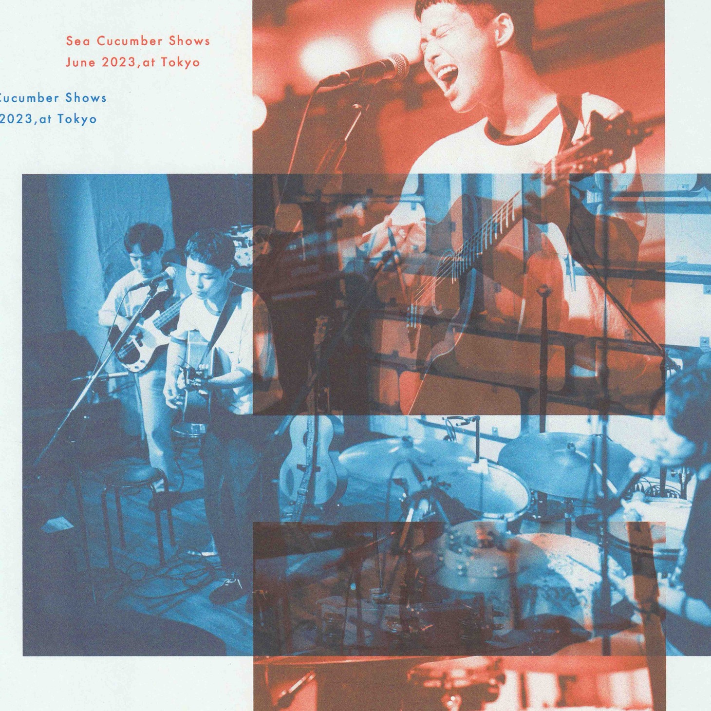 眞名子新「sea cucumber shows 2023.6 東京編（Live）」配信ジャケット