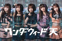 ワンダーウィード天