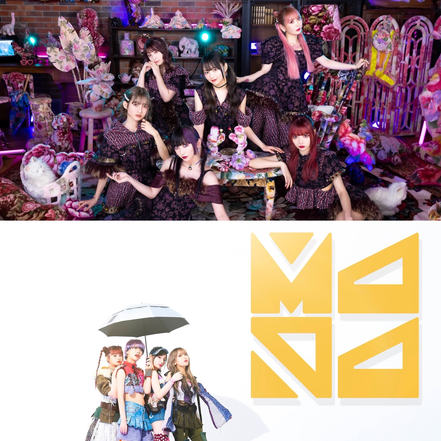 大森靖子 CD 14枚 ZOC ZOCX MAPA ado ano 銀杏 METAMUSE＆MAPA、9月にスプリット作品「いちご完全犯罪 / 猫の国