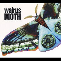 WALRUS「MOTH」ジャケット