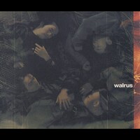 WALRUS「空の心」ジャケット