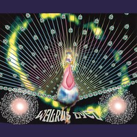 WALRUS「DYED」ジャケット