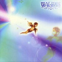 WALRUS「光のカケラ」ジャケット