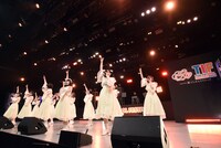 かすみ草とステラ