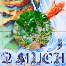 龍宮城「2 MUCH」ジャケット
