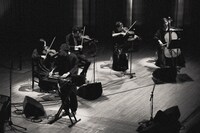 Sweet William（撮影：三田村亮）