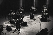 Sweet William（撮影：三田村亮）