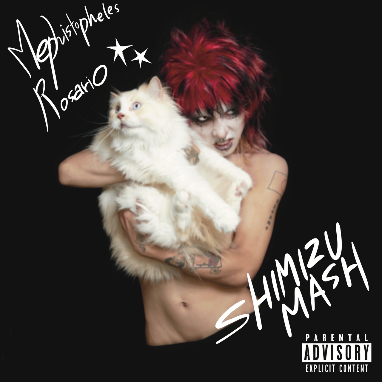 総合芸術音楽家・清水舞手、1stシングルは“S面”と“M面”2曲入り