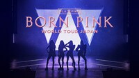 「BLACKPINK WORLD TOUR [BORN PINK] JAPAN」のサムネイル画像。
