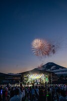 夜空を彩る打ち上げ花火。