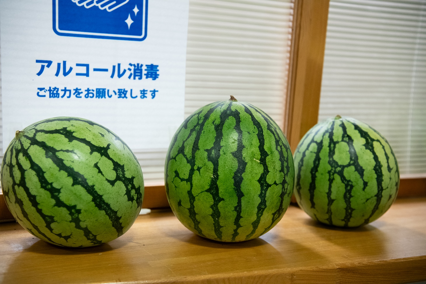 桜木心菜の家族から贈られたスイカ。