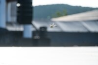 開演前の様子。