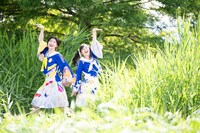 新しく現れた2羽目の野鳥。