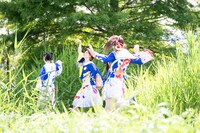 次々現れる野鳥。