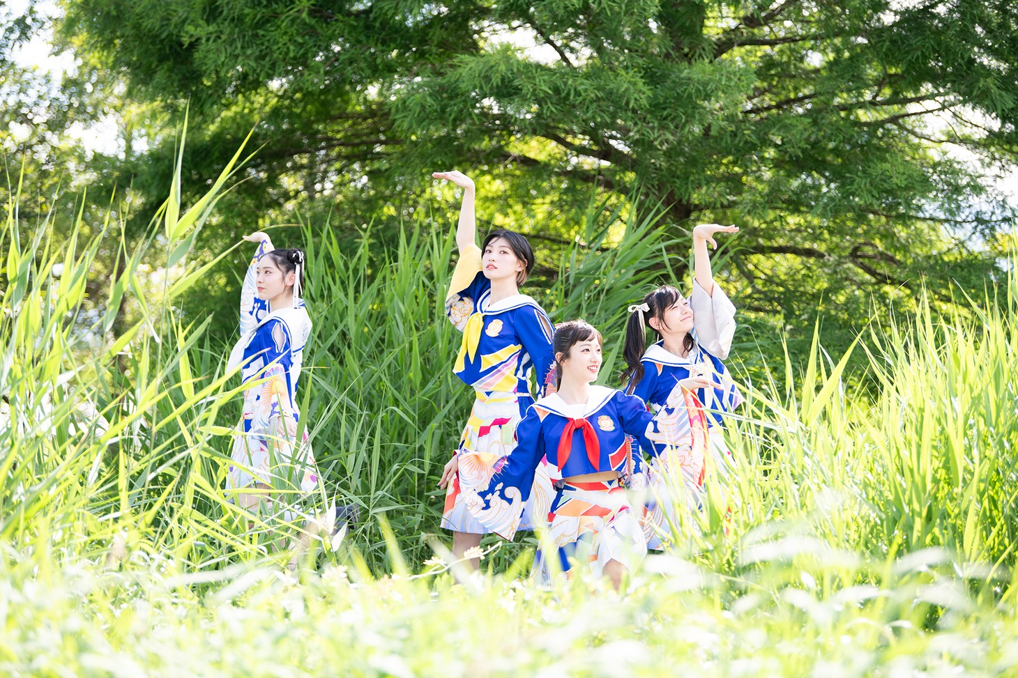 最終的に4羽になった野鳥。