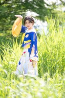 4年ぶりに茂みに現れた野鳥。