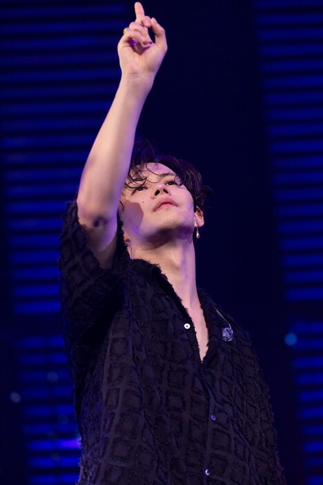 カイ（撮影：米山三郎）