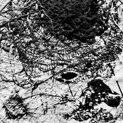 ボトルズハウス「敗れざる者たち」配信ジャケット