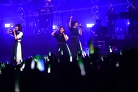 Negicco「Negicco 20th Anniversary Live～MY LIFE is Negicco～ supported by サトウ食品」の様子。