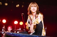 SUPER BEAVER（撮影：釘野孝宏）