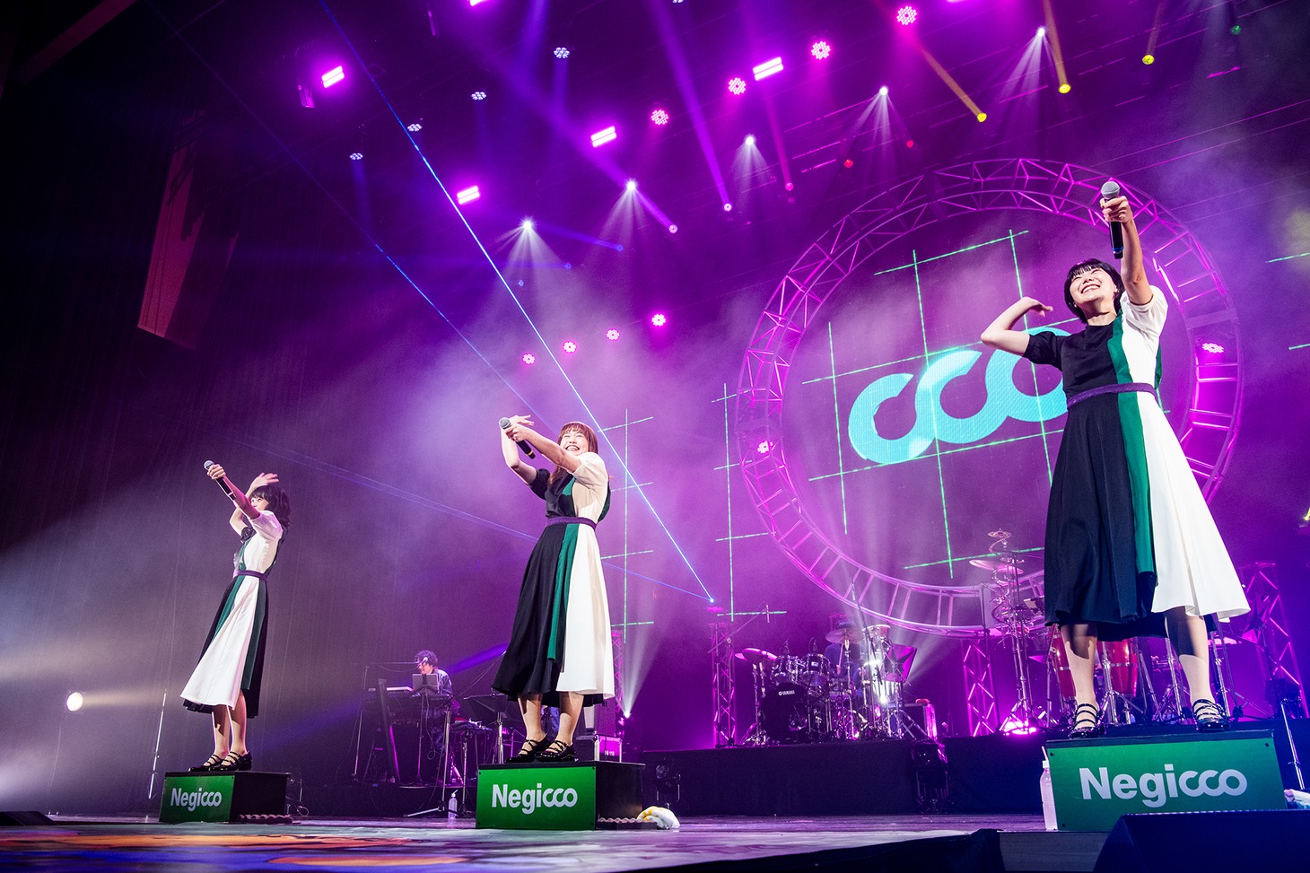 Negicco