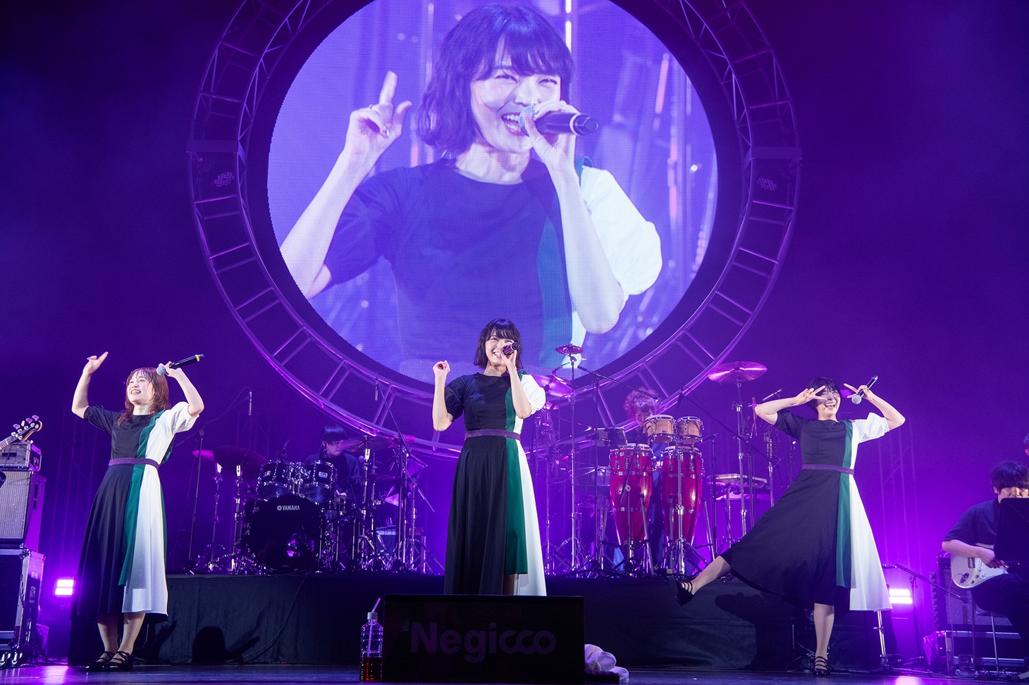 Negicco
