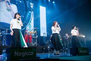 Negicco