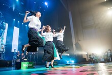 ジャンプするNegicco。