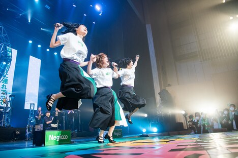 ジャンプするNegicco。