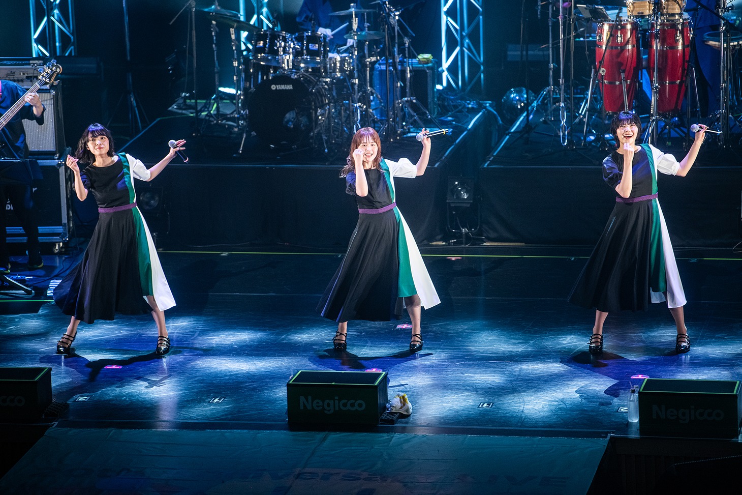 Negicco