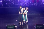 Negicco