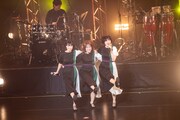 ラインダンスするNegicco。