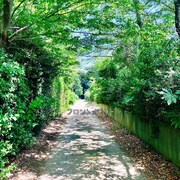 神聖かまってちゃん「フロントメモリー feat. ACAね（ずっと真夜中でいいのに。）」配信ジャケット