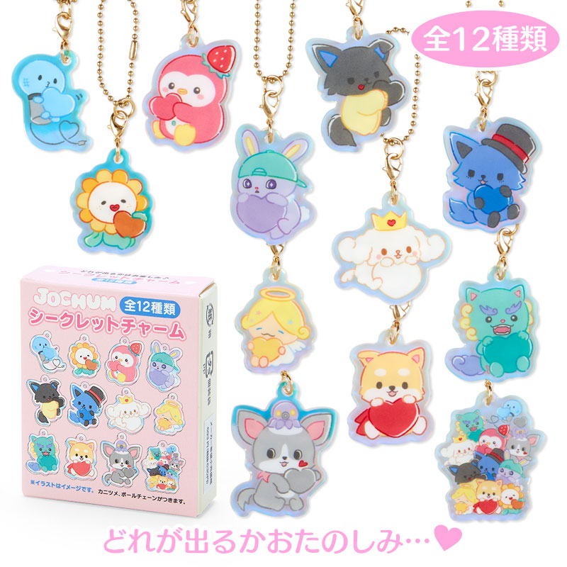 シークレットチャーム (c)’23 SANRIO 著作（株）サンリオ