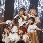 豆柴の大群ニューシングル、ヤマモトショウ手がける新曲「ぷりぷり」収録