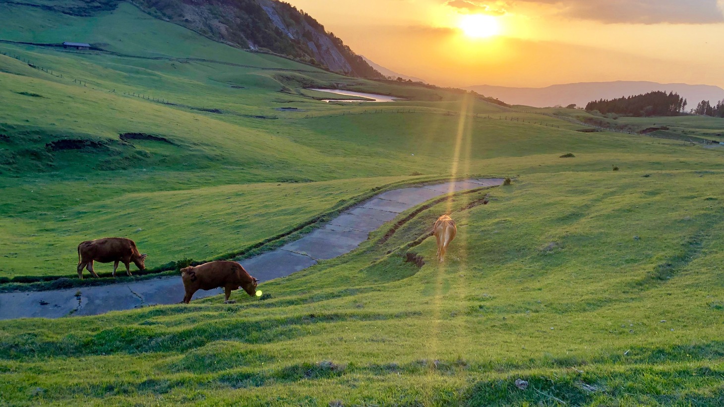 阿蘇の風景。