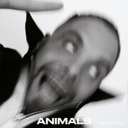 カッサ・オーバーオール「Animals」ジャケット