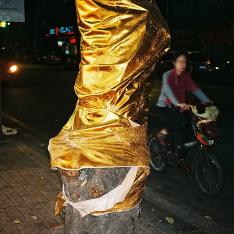 KID FRESINO｢rose｣配信ジャケット