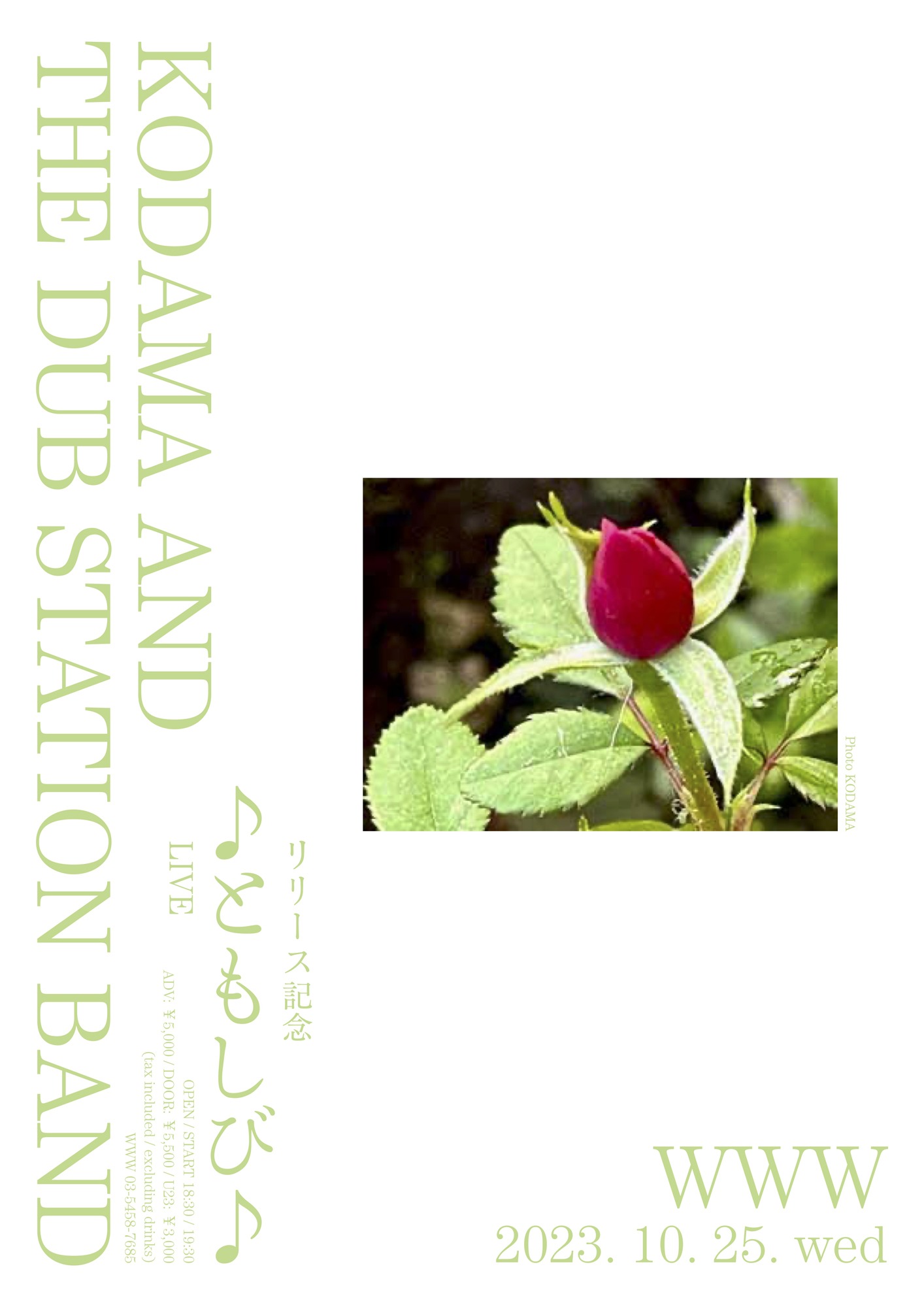 KODAMA AND THE DUB STATION BAND「リリース記念 ♪ともしび♪ LIVE」告知画像
