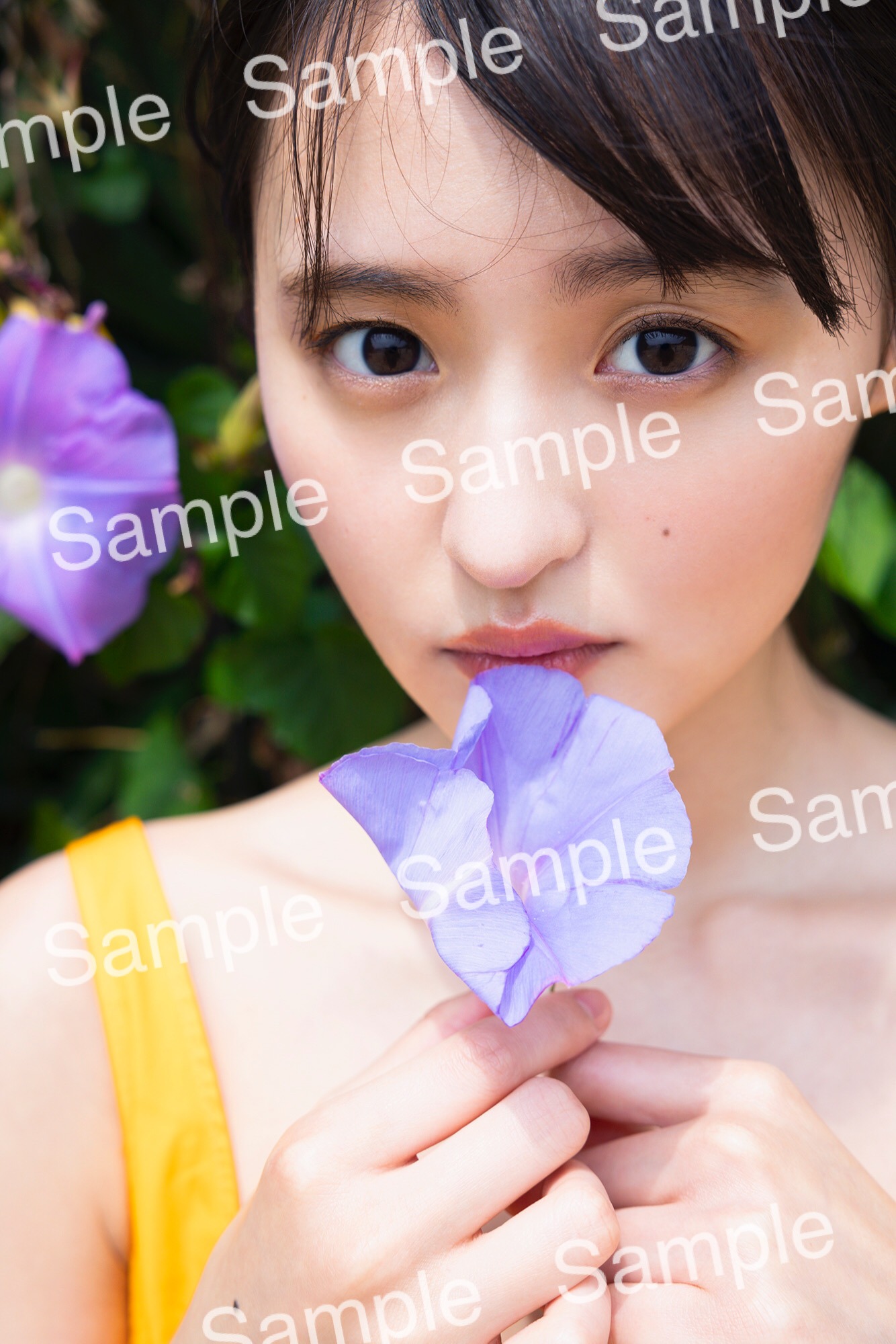 遠藤さくら（乃木坂46）「可憐」有隣堂のポストカード。（撮影：須江隆治［See］）