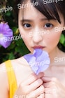 乃木坂46遠藤さくら1st写真集「可憐」全19種類の特典絵柄を一挙公開